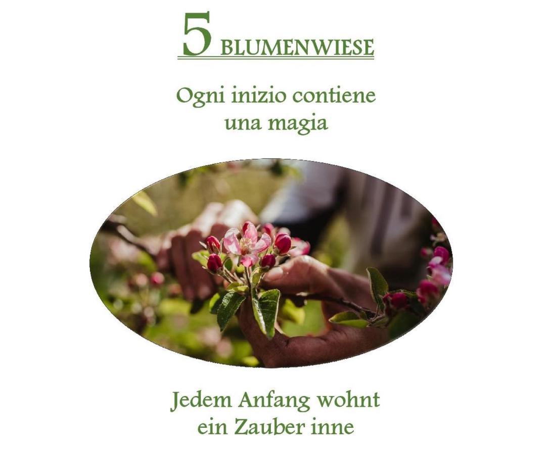 Ferienwohnungen Kaltenbachhof - Urlaub Auf Dem Biobauernhof Parcines Extérieur photo